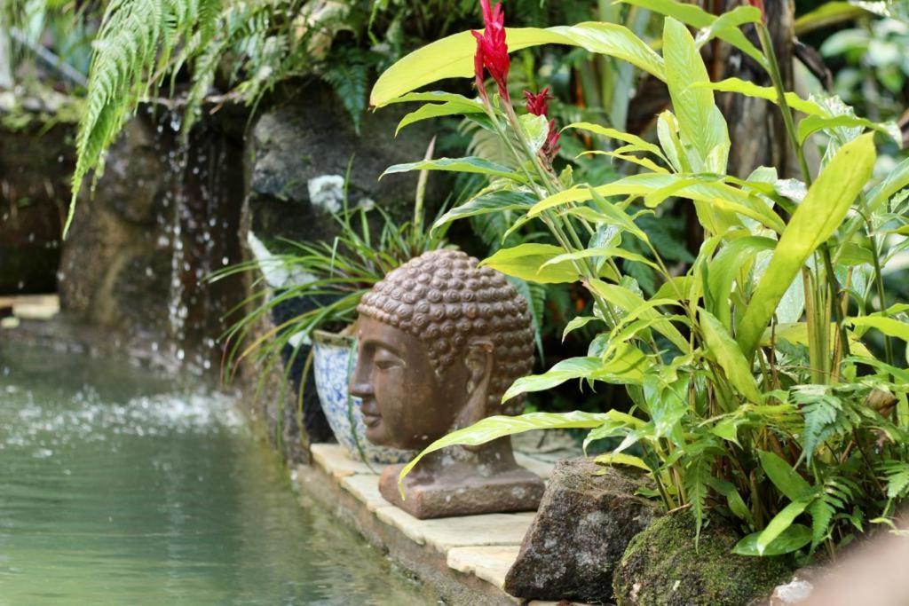 Pousada Do Riacho Trindade ตรินดาเจอ ภายนอก รูปภาพ